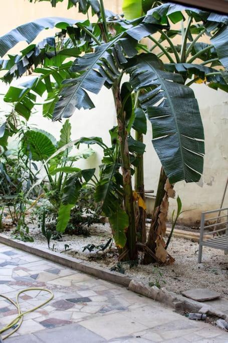 Апартаменты Garden Apt Афины Экстерьер фото